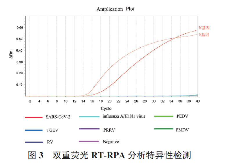 吕继洲_吕继洲-图3 双重荧光RT-RPA 分析特异性检测