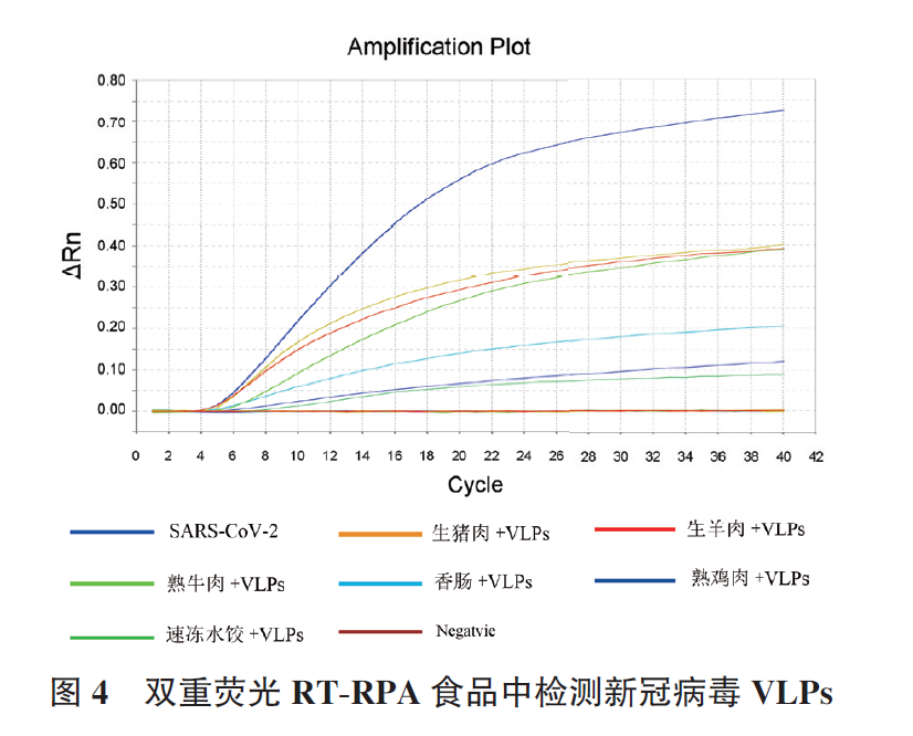 吕继洲_吕继洲-图4 双重荧光RT-RPA 食品中检测新冠病毒VLPs