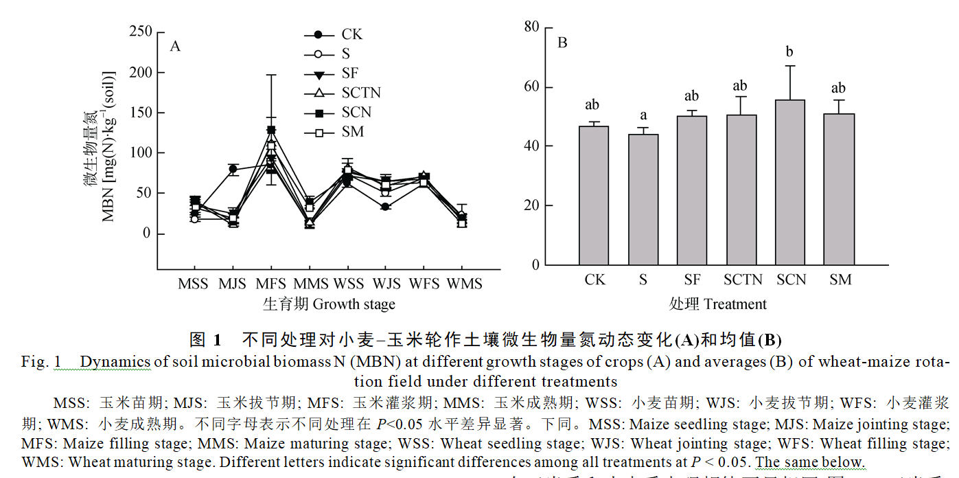 李涛_图1  不同处理对小麦玉米轮作土壤微生物量氮动态变化(A)和均值(B)