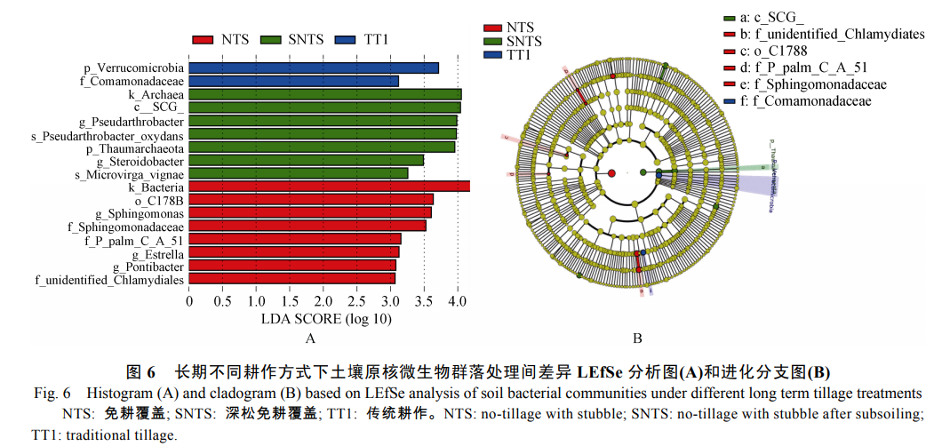 张贵云_图6  长期不同耕作方式下土壤原核微生物群落处理间差异LEfSe分析图(A)和进化分支图(B)
