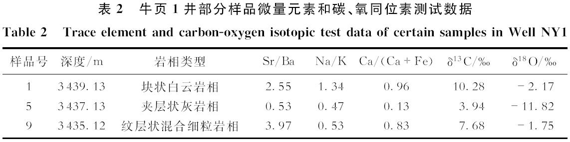 张顺_表2　牛页1井部分样品微量元素和碳、氧同位素测试数据